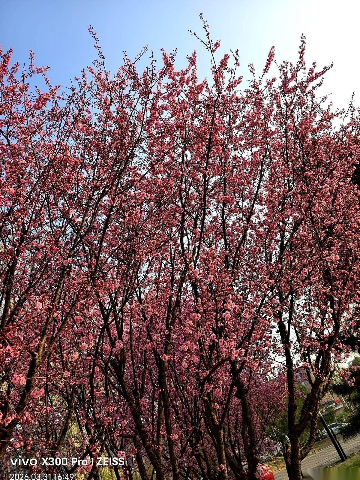 国家队，从光伏制造圈里集体退场了。中广核甩股权，国资控股的也跟着转让，一声招呼