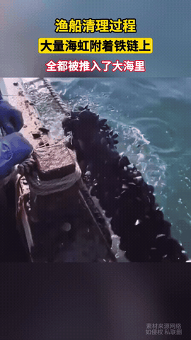 有一说一，这是不是有点太浪费了[思考]