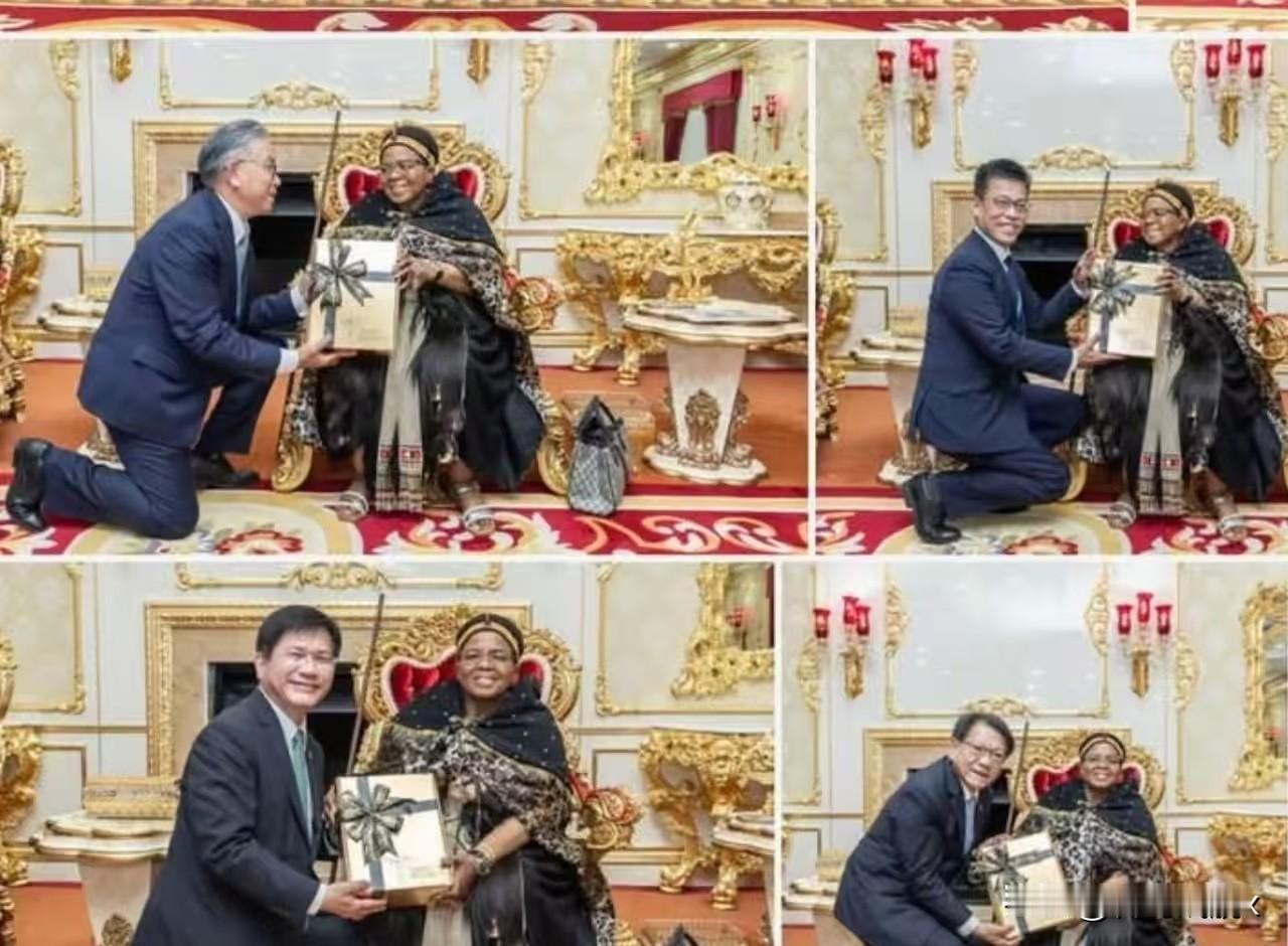 真掉价，中国台湾的几个所谓“部会长官”跪在斯威士兰王太后跟前。这几个大男人，