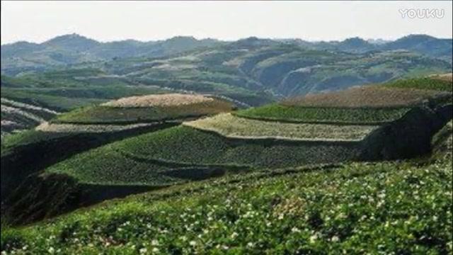 陕北抒怀二胡曲谱_陕北抒怀二胡简谱(3)