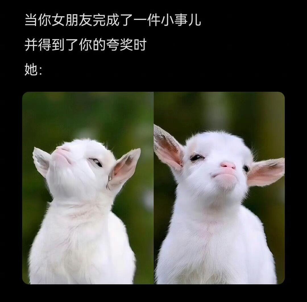 你女朋友也这么可爱吗？​​​