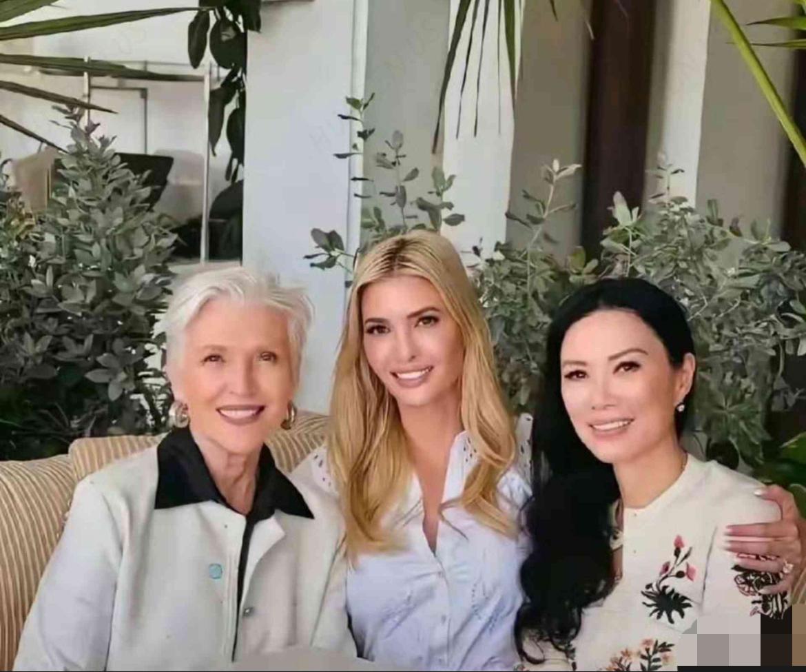 许戈辉陈鲁豫当年都被刺激得魔怔了，看这个邓文迪，容貌智商出身都是平平，英文跟她们