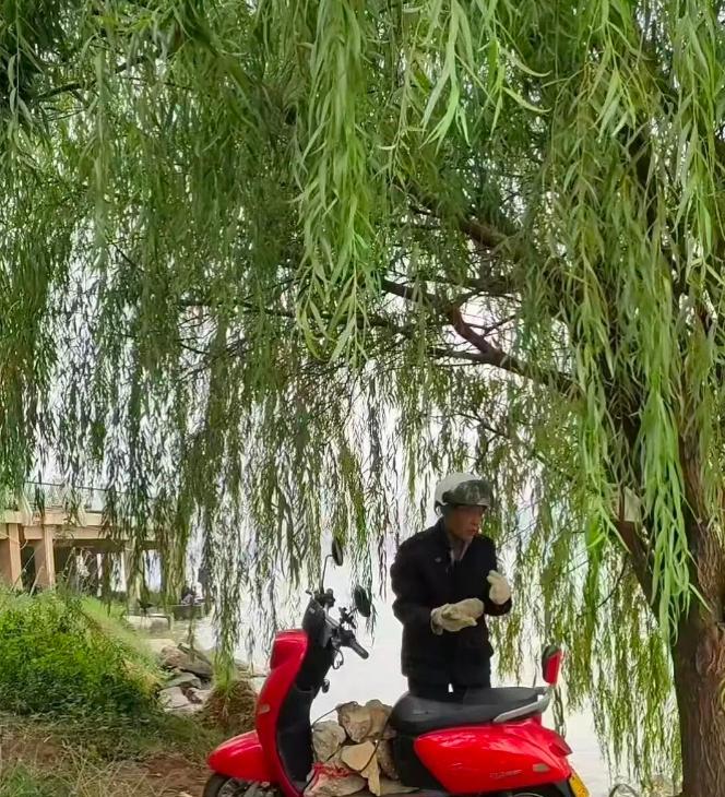 现代版“愚公移山”！湖南长沙，一七旬老人每天用电动车运石头去江边，一年多后竟筑起