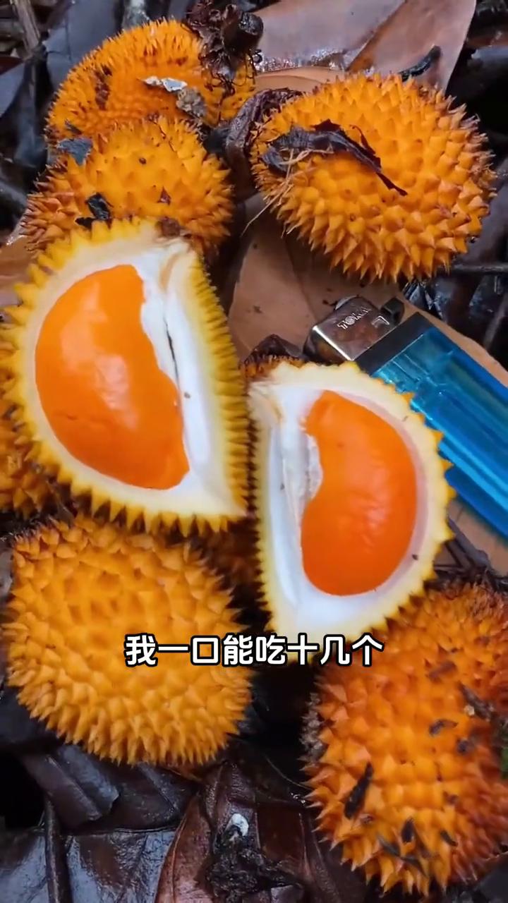 ·这种榴莲好吃吗？这哪是榴莲，分明就是生化武器，不能吃。·这种榴莲好吃吗？这是