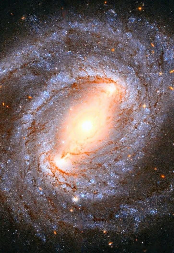 宇宙引爆：恒星如何在NGC5643中陨落哈勃望远镜捕捉到了螺旋星系NGC56