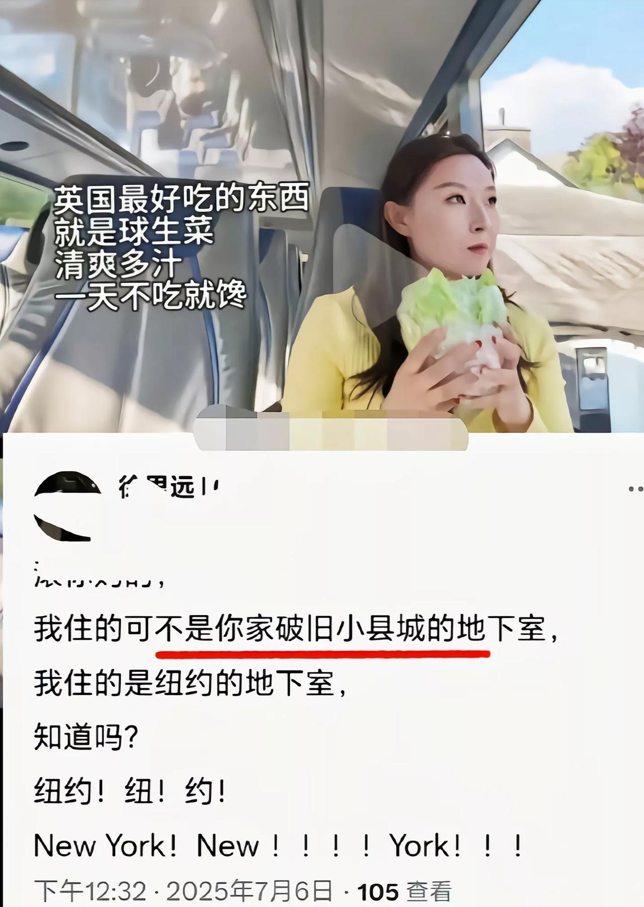 在纽约住地下室和啃大白菜都能说得清新脱俗了[捂脸哭]