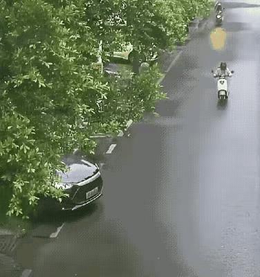 雨天开车最怕啥？不是溅一身水，是明明没碰着人，却被告上法庭！这事儿就发生在河南某