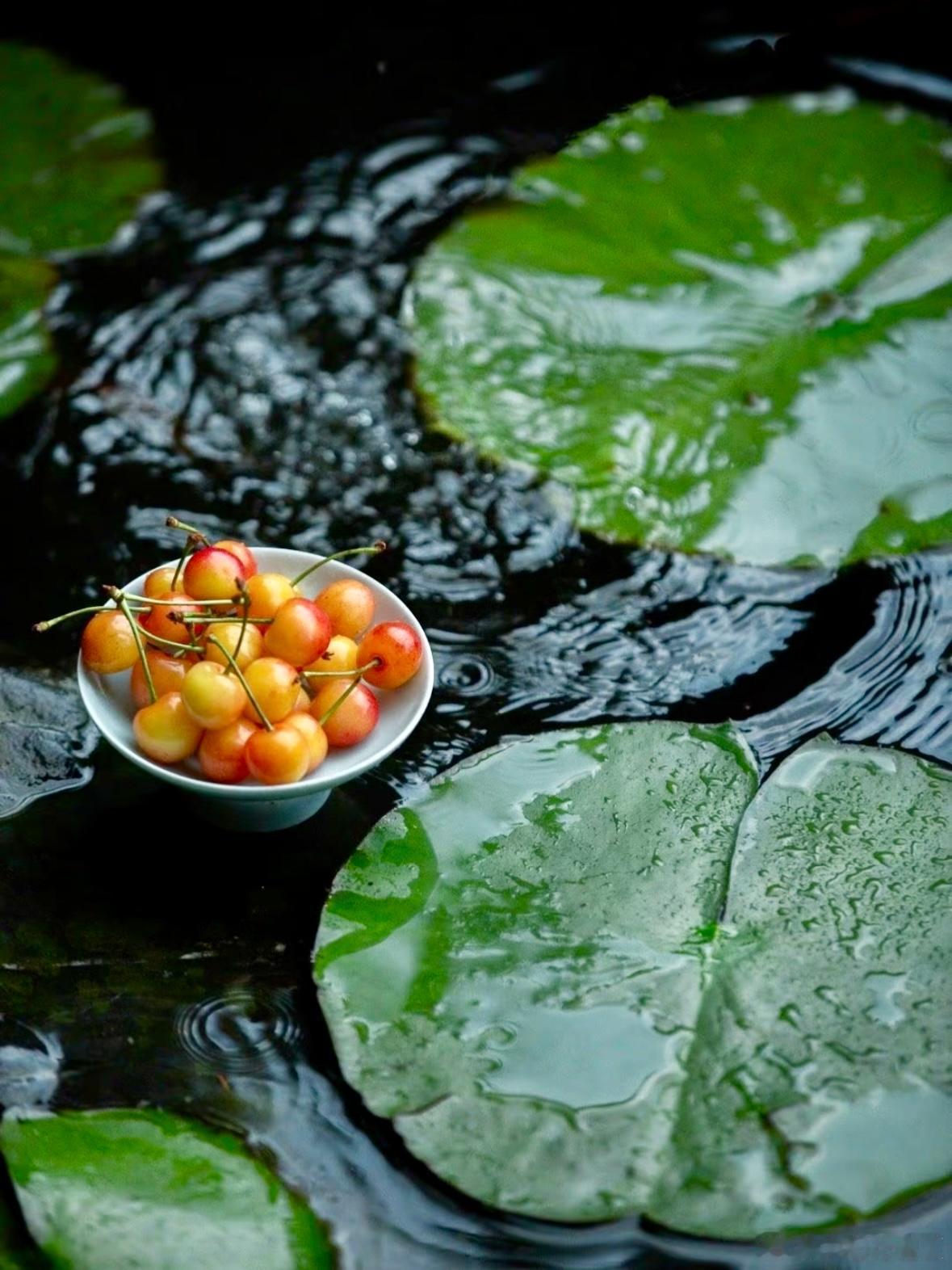 雨过园亭绿暗时，樱桃红颗压枝低～寻美河南