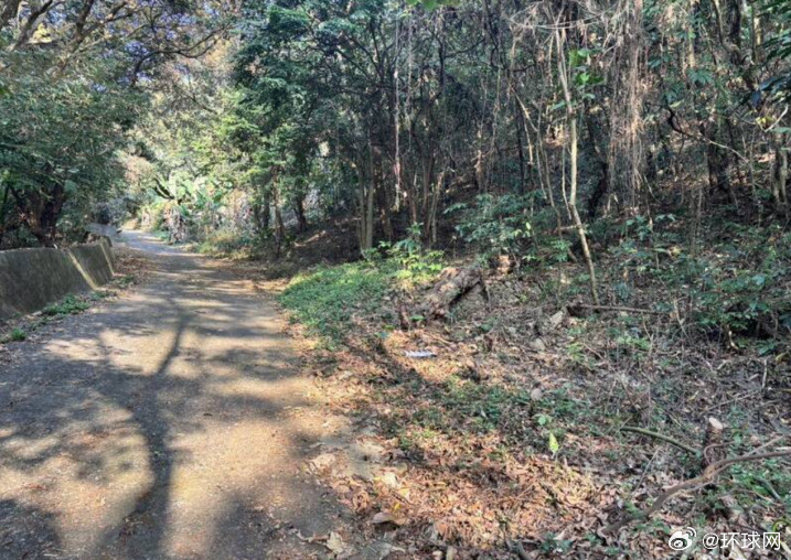 台湾彰化惊现骇人毒品虐杀案：男子遭挖眼毁容弃尸，4嫌犯落网