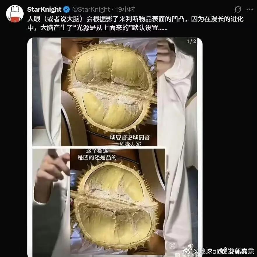 来，大家一起玩一个猫爪在上的游戏。无论你怎么旋转这张图，榴莲都在上面那张图，下