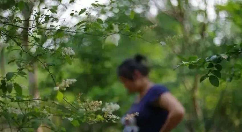 姐姐十年没怀上，咬牙抱回个女娃。娃刚会咯咯笑，她肚子突然鼓了。公婆立马翻脸，