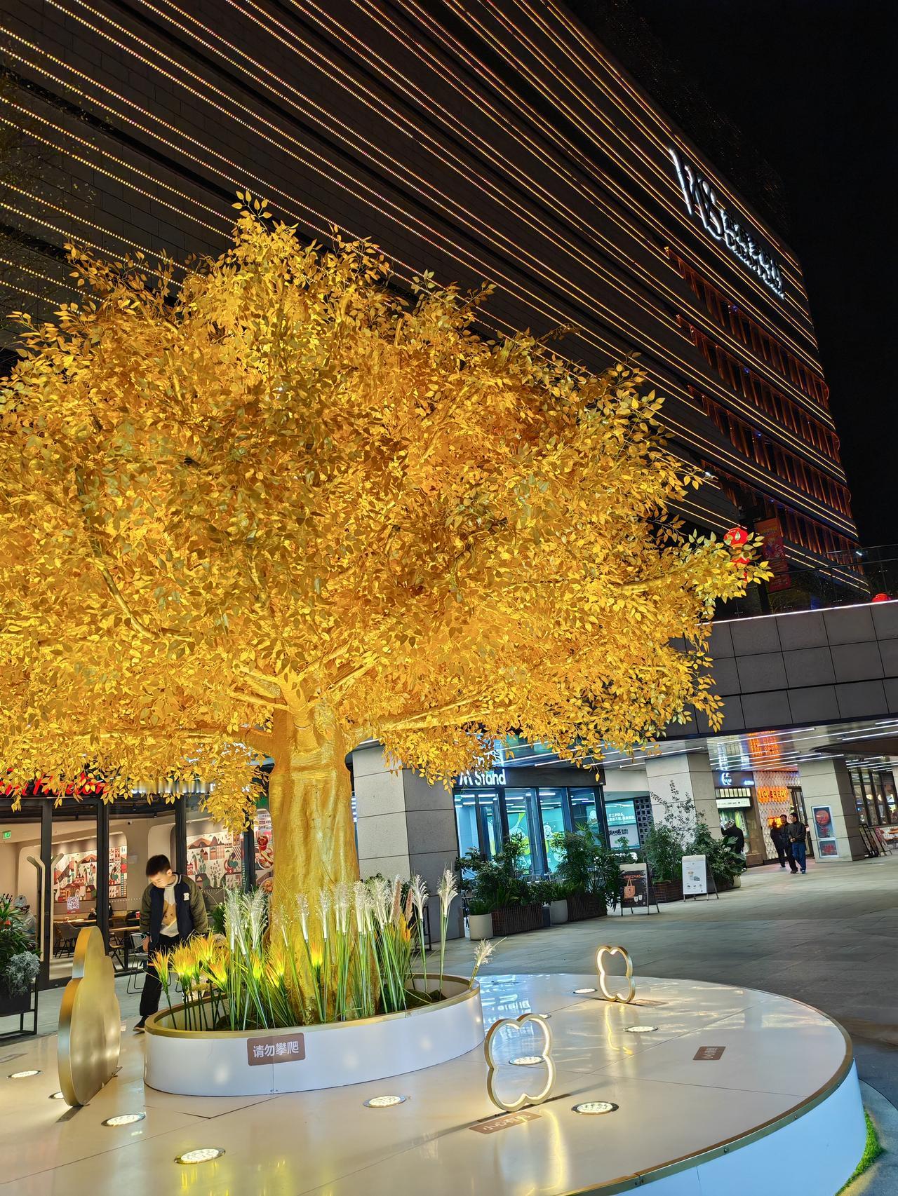 先给结论：未来5天（2026.1.29-2.2）金价高位震荡偏强，核心看美联储表