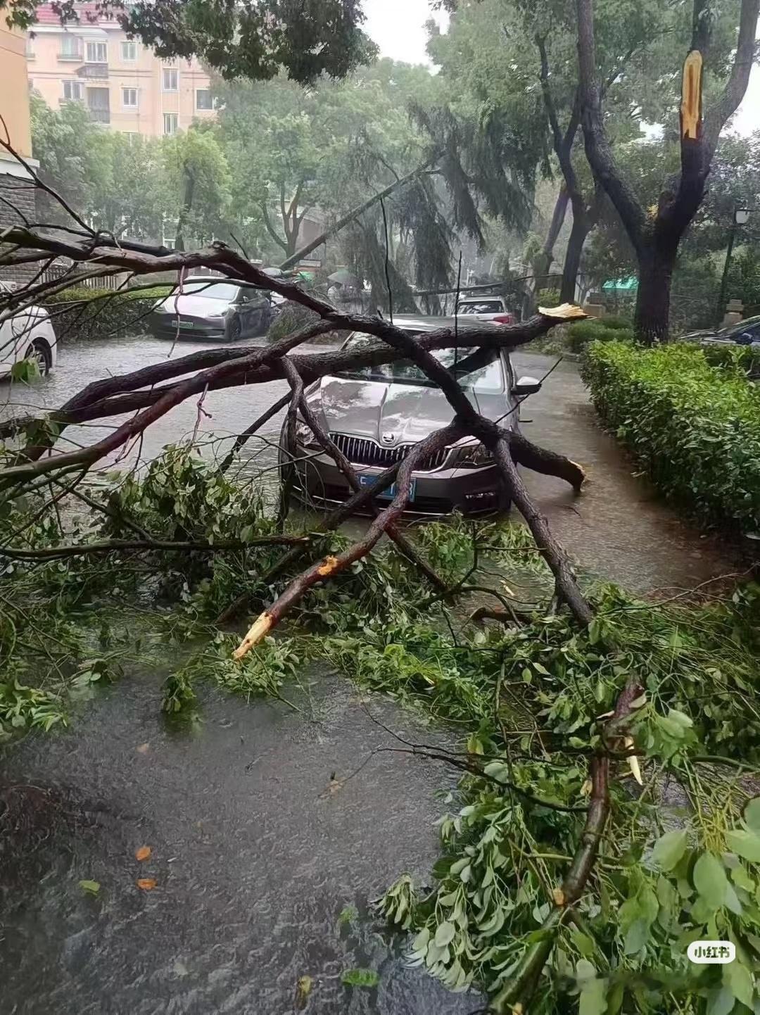 今年这台风，来得真早。才4月，就憋出个超强台风。大自然的脾气，越来越摸不透。气