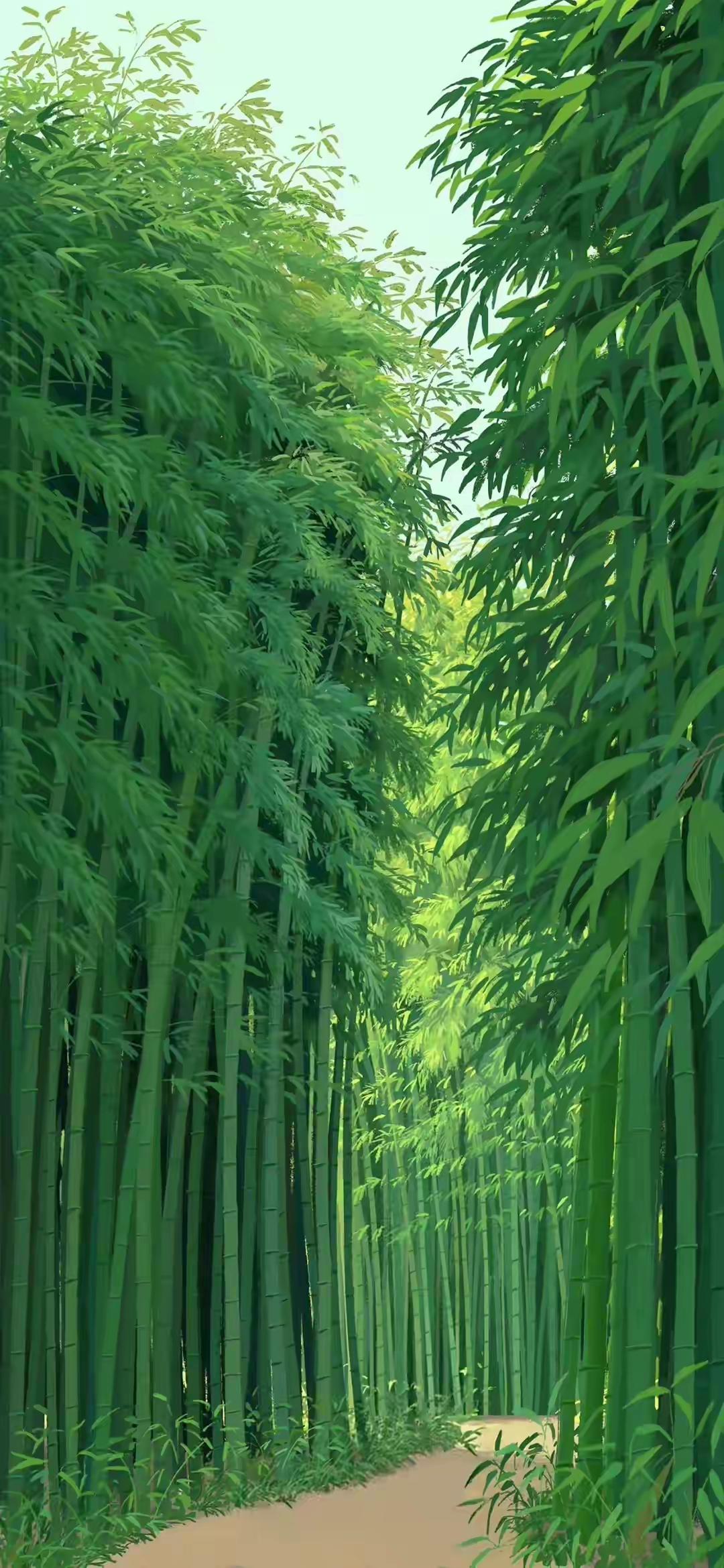 手机壁纸～翠竹幽幽，心向暖阳，水墨江南，诗意流淌。于自然间寻一份宁静，于美好中藏