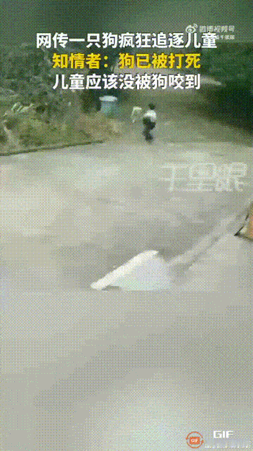 湖南株洲，一只小狗疯了，看见一个男孩路过，就直接冲上前去撕咬，男孩吓得扭头就跑，