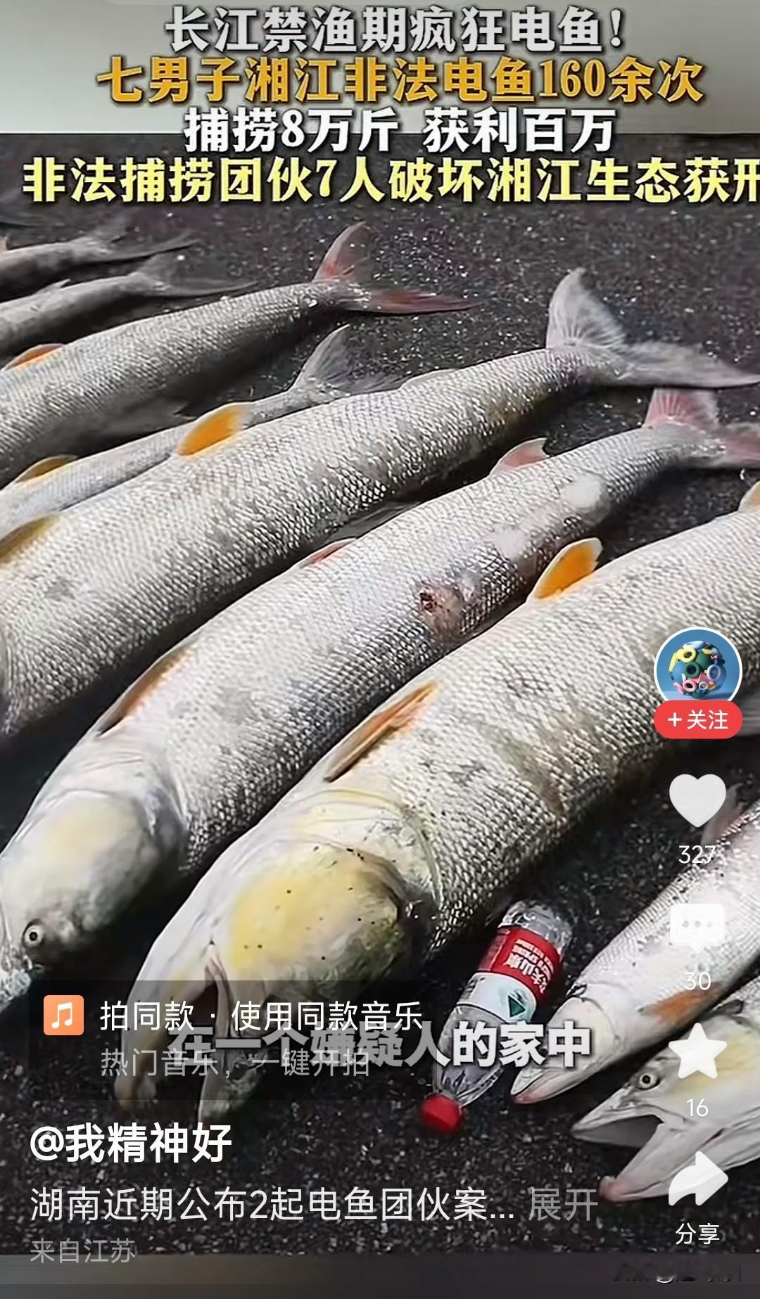 非法电鱼胆子太大了，长江禁渔期还敢去电鱼，这人难道是不是有毛病了，七个男子去湘江