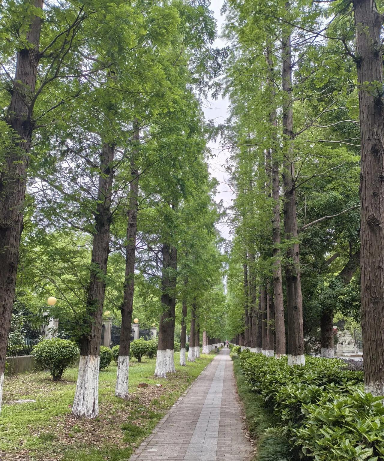 #我眼中的最美风景#