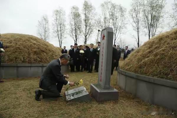 4月10日，平壤冷雨纷飞。72岁的王毅外长冒雨来到平壤江东郡志愿军烈士陵园。单膝