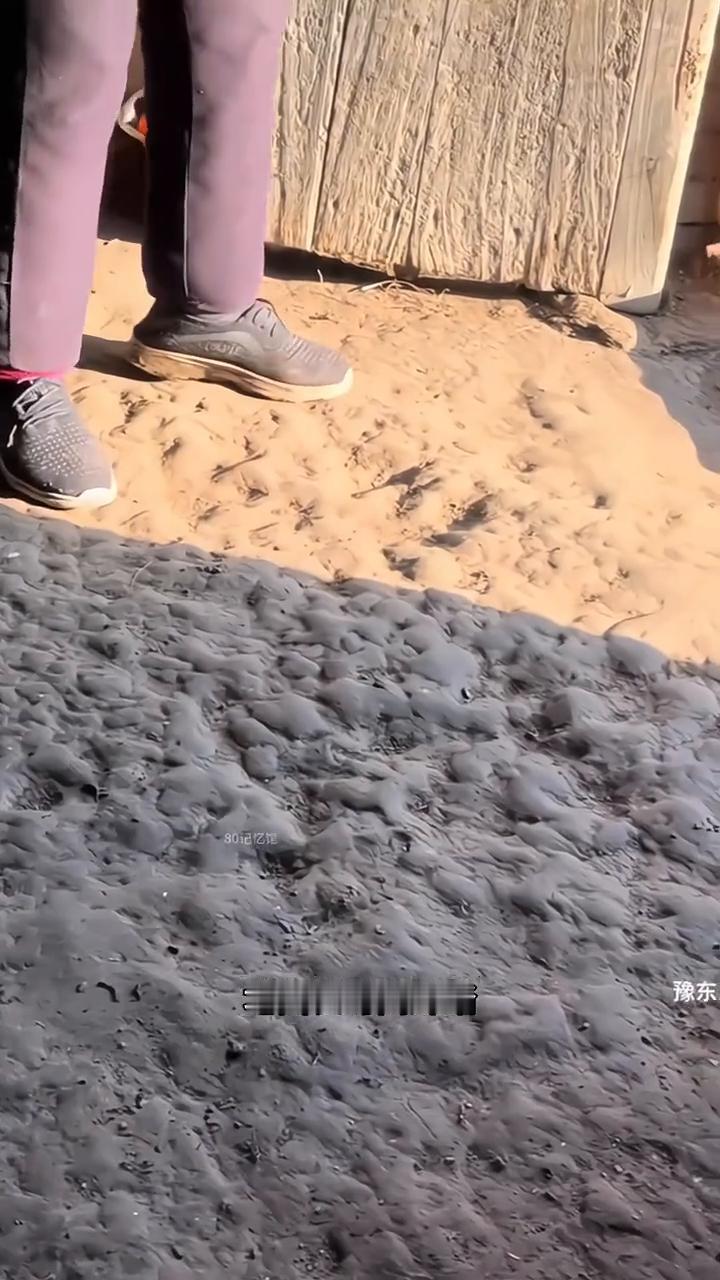 小时候地面。豫东。小时候这种凹凸不平的地面是多少人的童年回忆？在七八十年代住