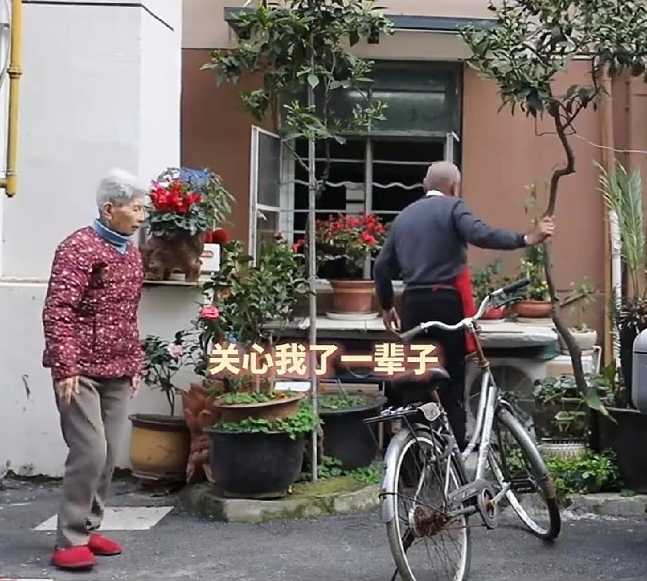 浙江杭州有一对值得羡慕的的老年夫妻。妻子今年88岁，丈夫95岁。老奶奶是从事教