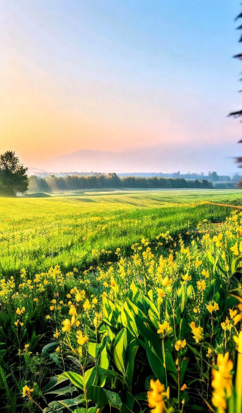 春天玄学少酸多甘，清淡养肝，春日养身小常识，平和调理更舒服进入春天，气温