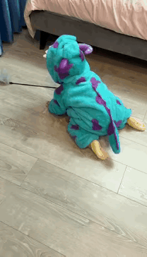 猫咪表示自己也很无奈啊，又不敢招惹他不开心，只能躲着了。