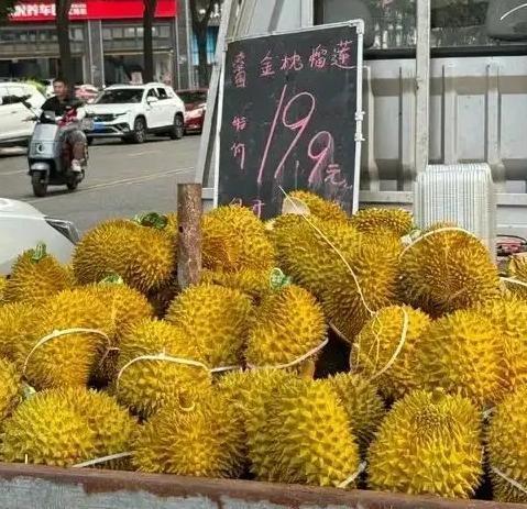 终于弄明白了，榴莲为什么突然大降价，不是没人吃了，而是货实在太多了，根本抢不完。