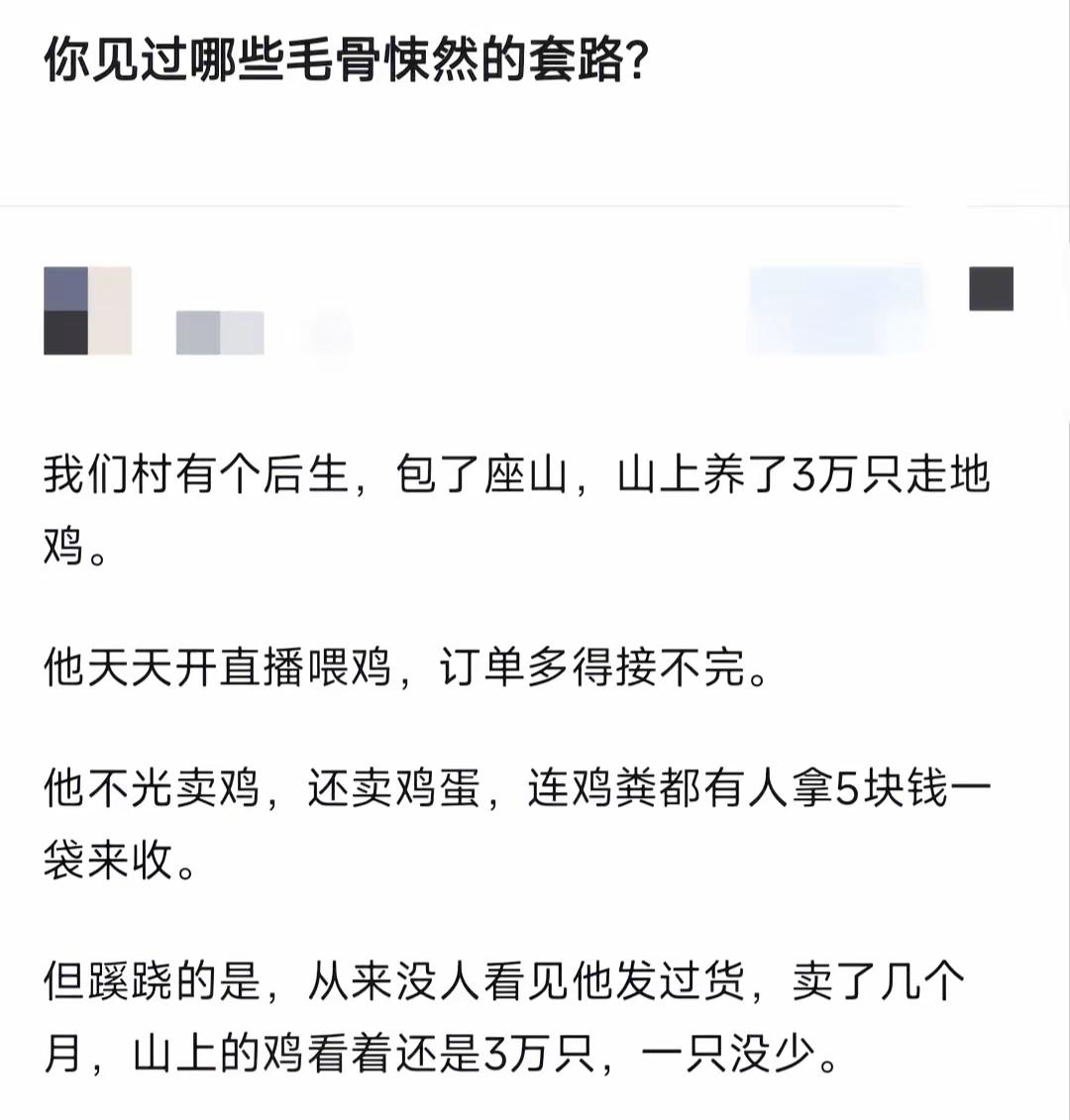 一个村里的后生养鸡发财的传奇故事。