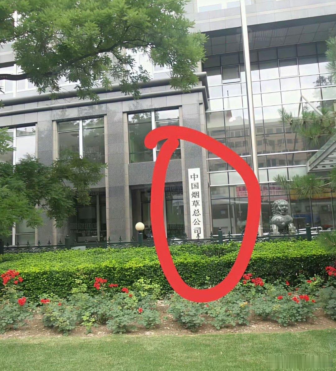 好奇到这家单位上班应聘，得是什么学历的啊？什么学历才能去这家单位上班​​​