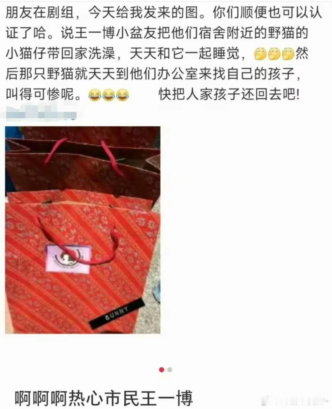 笑死我了热心市民王一博把野猫的宝宝给带回去了啊哈哈哈哈
