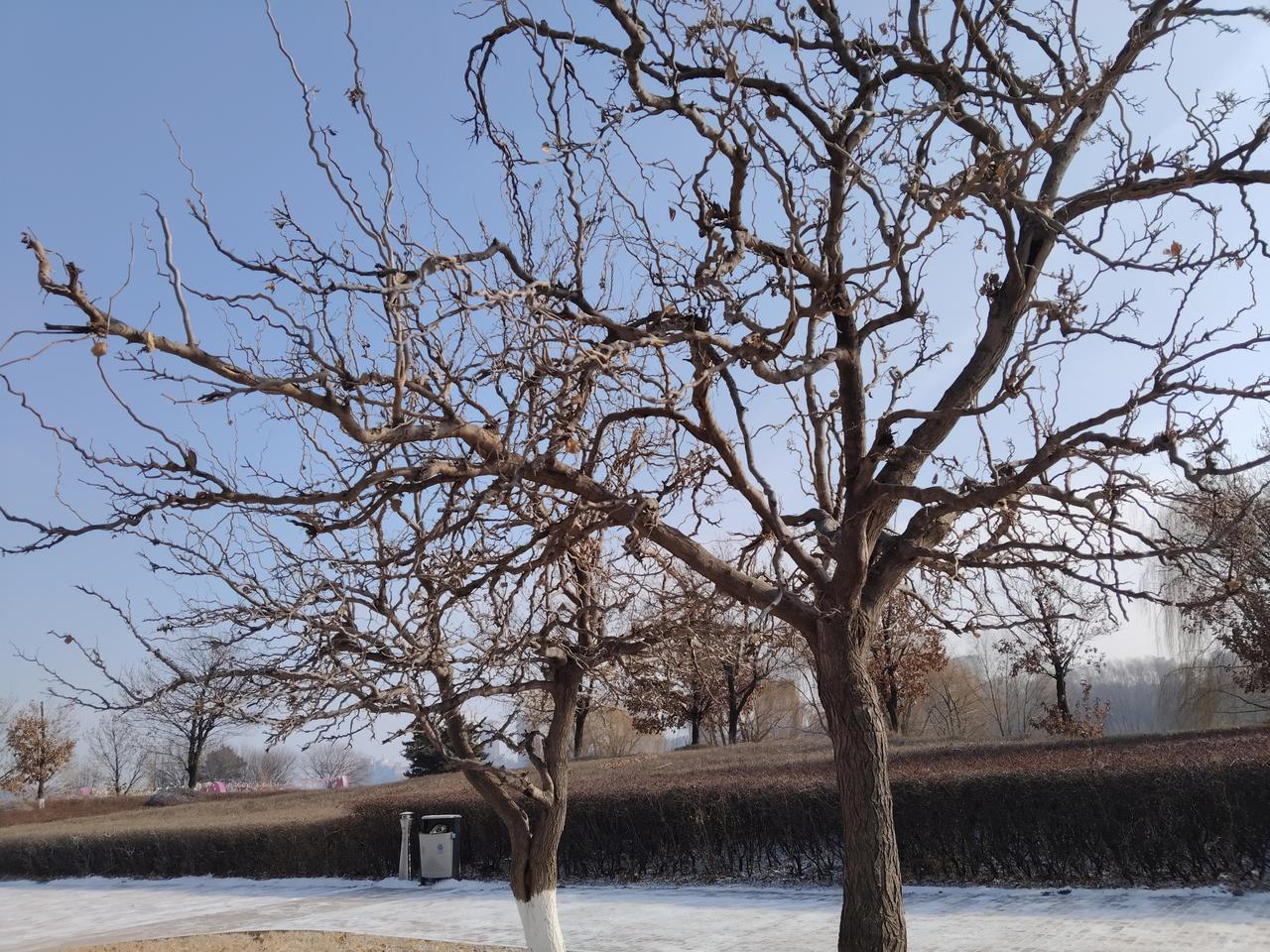 同学的儿子大学毕业后刚刚考进国家电网，这把同学乐得，总算拨得云开见日出！同学