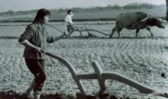 1977年，32岁女知青刘琦返城无望，嫁给一位农民。新婚之夜，她对丈夫说：“你对