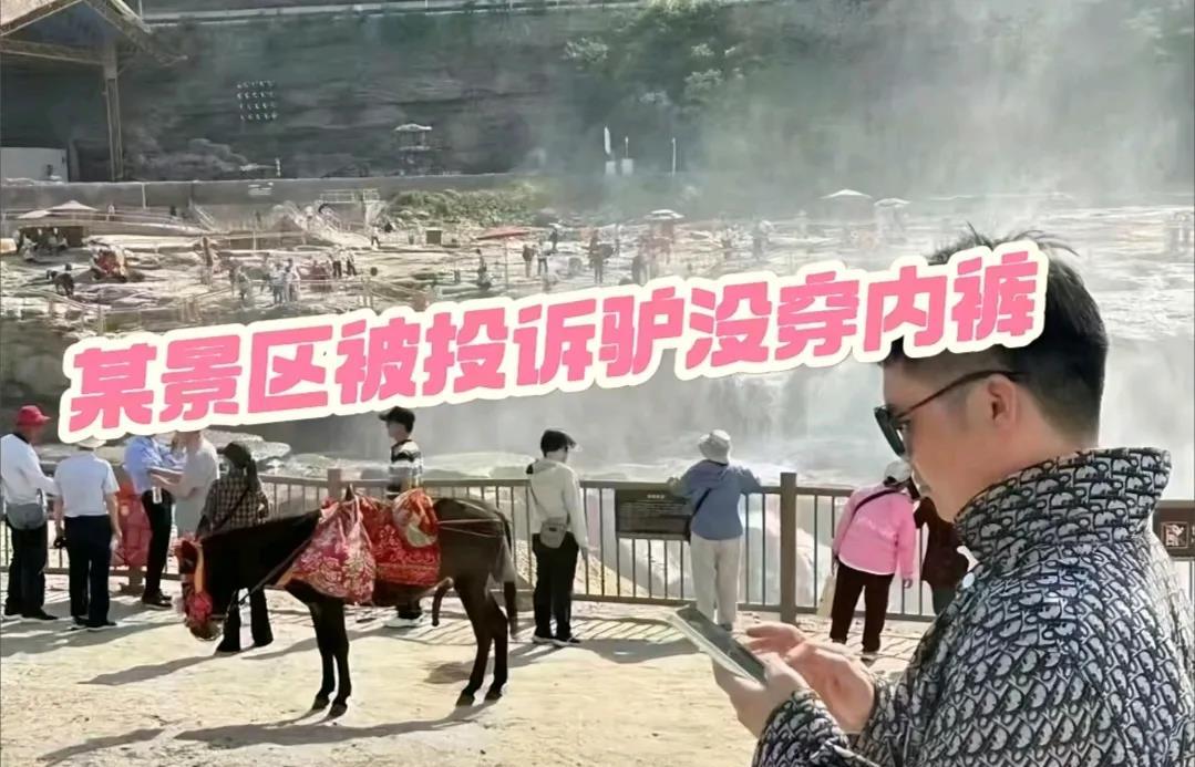壶口景区驴被投诉，景区给驴穿上内裤？知情人士透露不是那样的。近日，壶