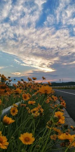 蔡澜说：“炫耀最傻，话多最蠢，沉默是境界，忍耐是能力，稳重是修养，冲动是