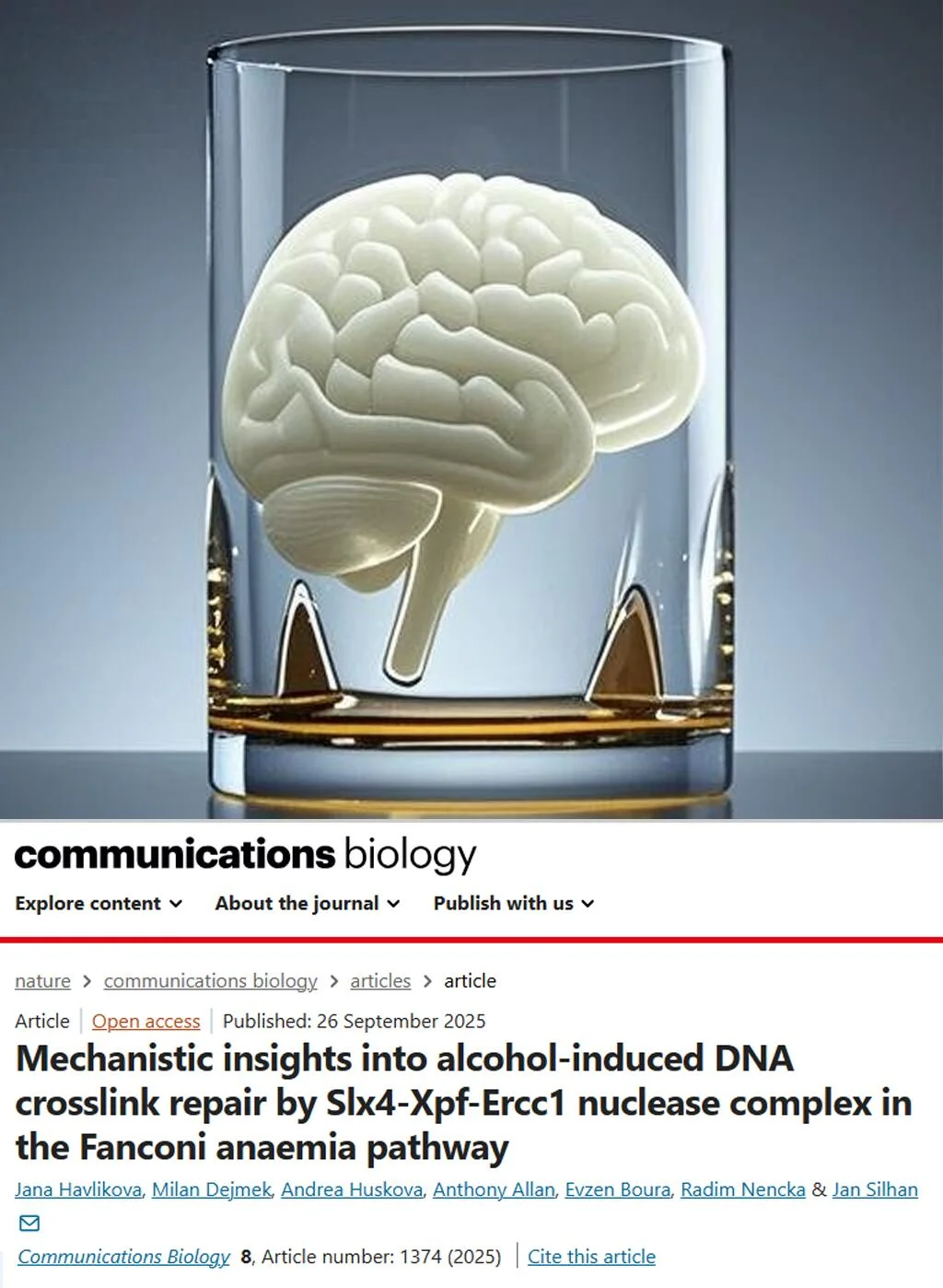 喝酒脸红是致癌风险？Nature子刊深度解析