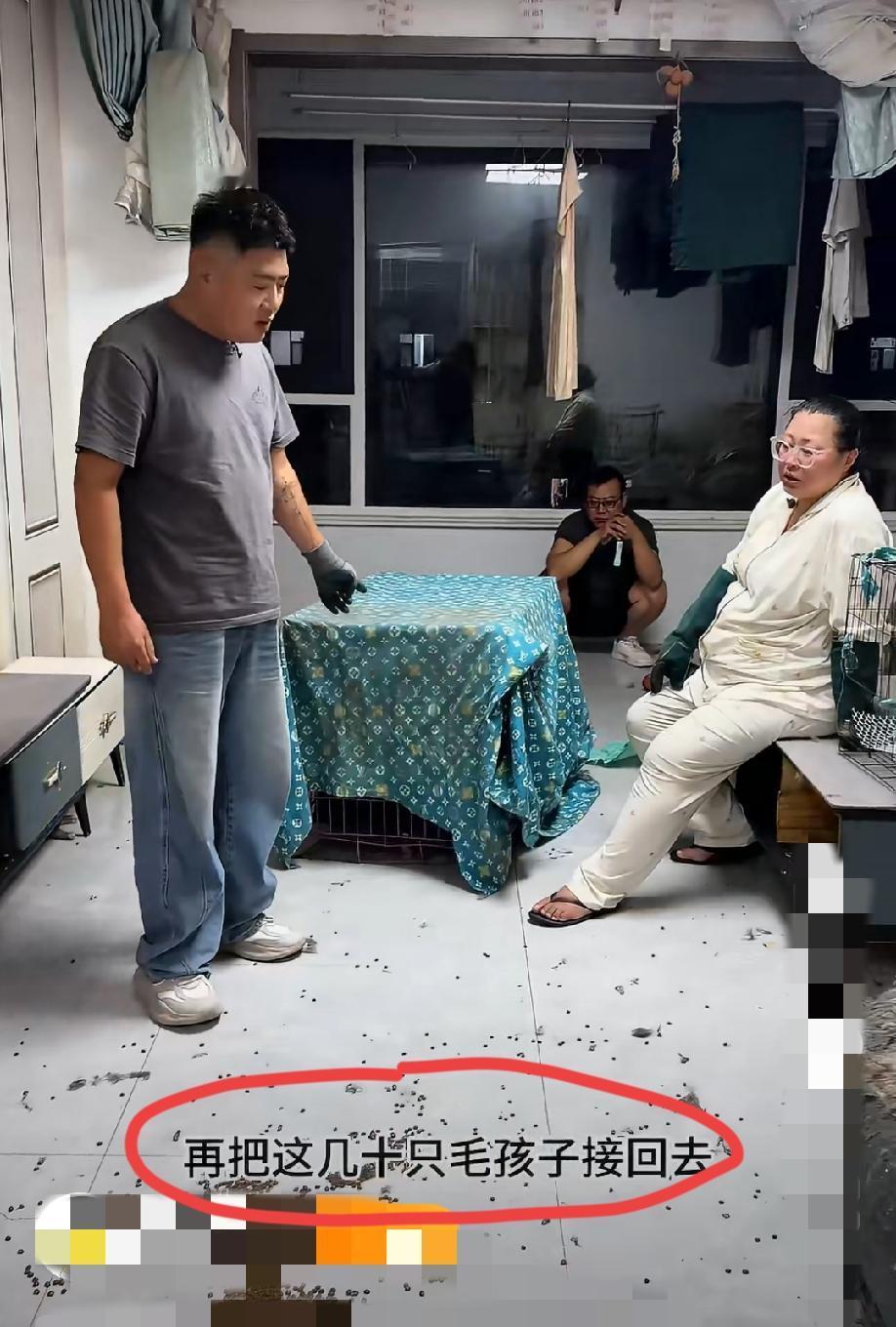 女子前前后后总共收留了60只流浪猫，现在怀孕大着肚子无力照顾，打电话求助……救