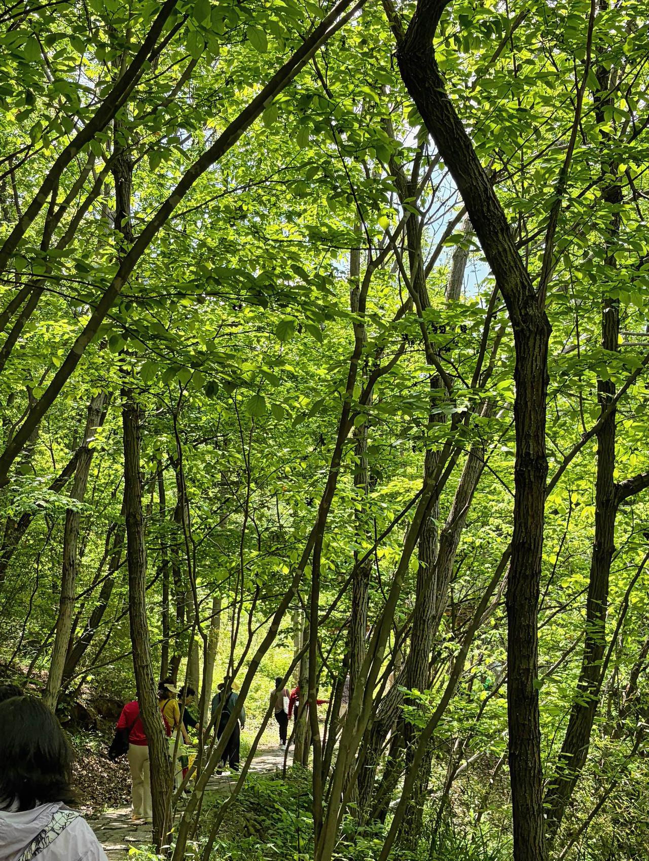 奉劝大家，人到中晚年，每年一定要做一次全面体检！真的太重要了。去年10月，我
