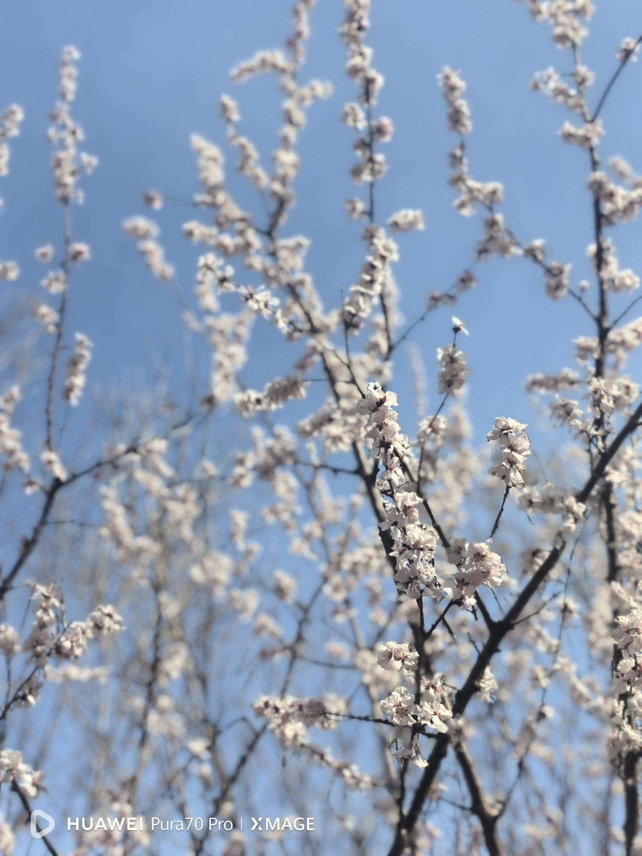 近日，湖南怀化学院发布了一条调任人员的公示，有网友质疑拟调任人选的出生年份和工作