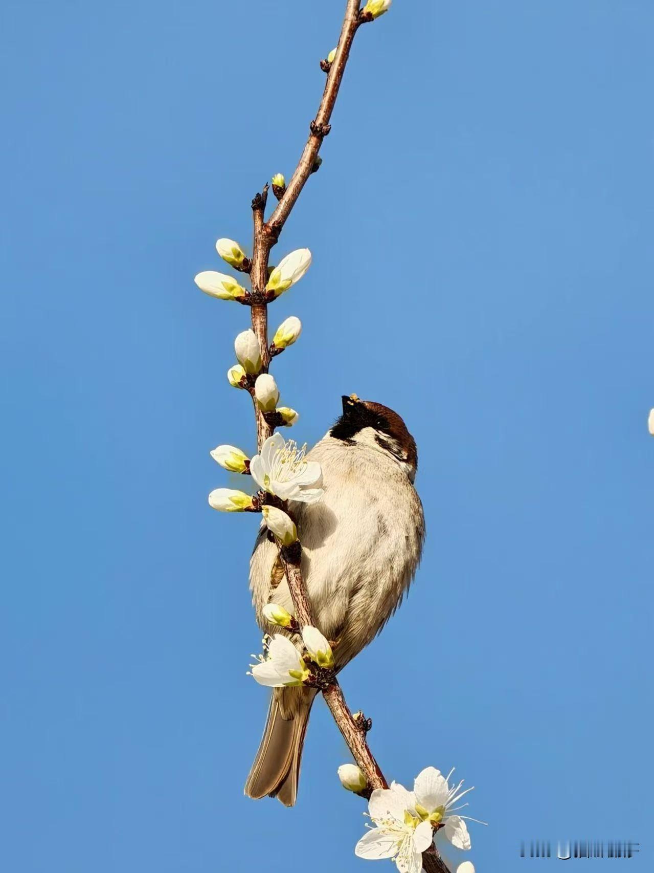 两性之间爱你的人才会觉得亏欠。不要跟任何人索取情绪价值如果一个人想给你什么