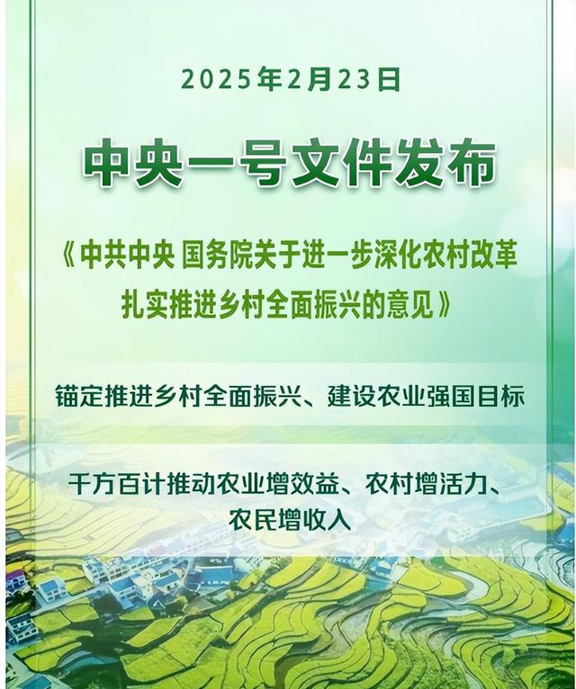 2025年一号文件发布, 第二十六条专谈城镇居民、退休干部农村建房