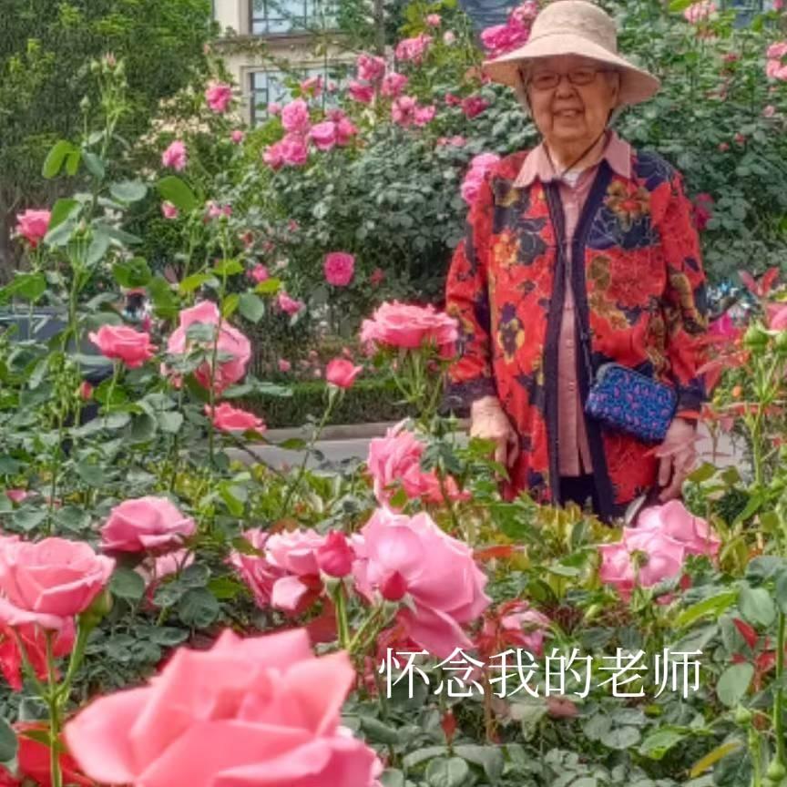 我曾经的一位老师走了，平静的从家里离去，享年91岁。令我惊诧的是前两天她还给我