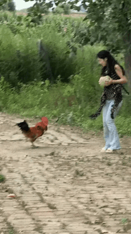 不怪小姐姐那么害怕，换我也是一样！[捂脸哭][捂脸哭][捂脸哭]