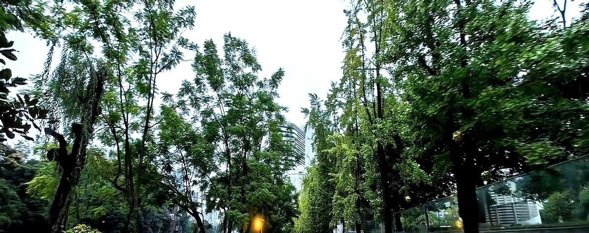 早起半小时，不为跑多快，只为别躺平。腰围小了，脑子清了，药也敢减了。哈佛说晨