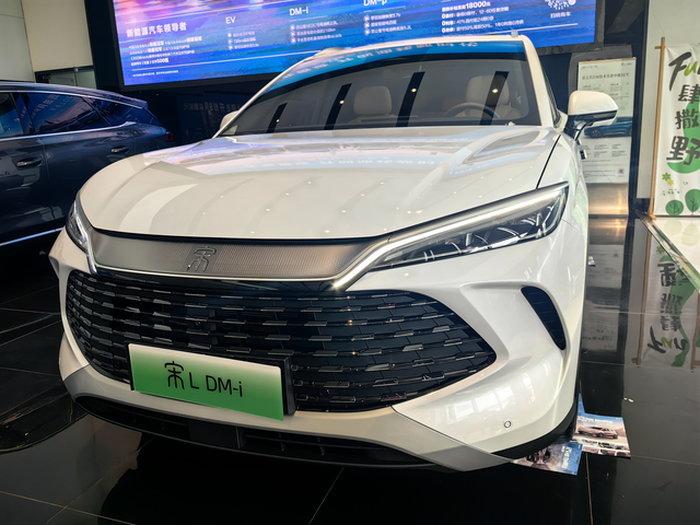 体验宋L-dmi有点失望今天给我唐去更换fsd，顺便看看新上市的宋L-dm