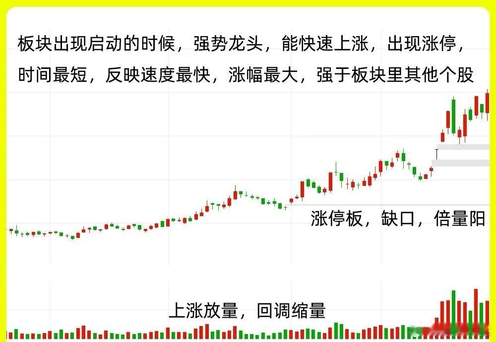 注意了！都说每个板块都有自己的龙头，其他个股都是陪跑，一个板块里，包含了几十上百