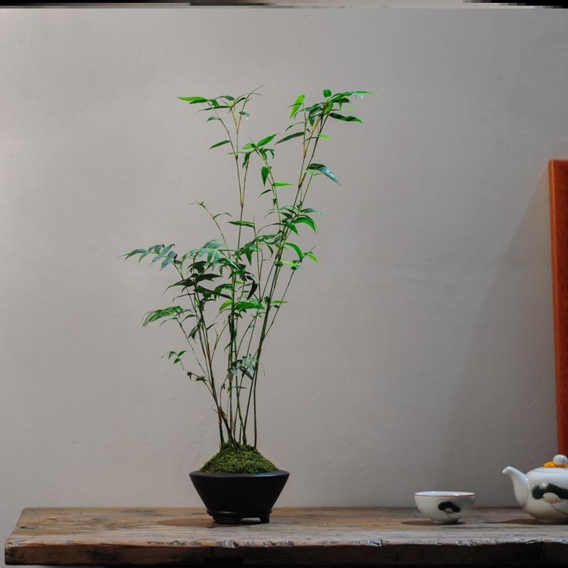 有说一个市29中学假期返校补课，被查！有规定就执行吧，傻子过年看隔壁，