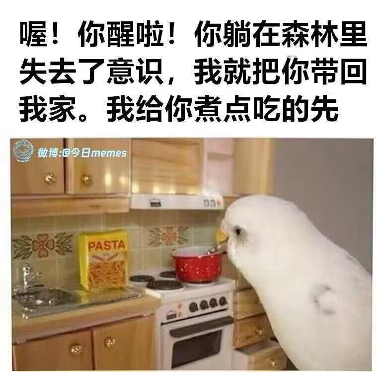meme梗图