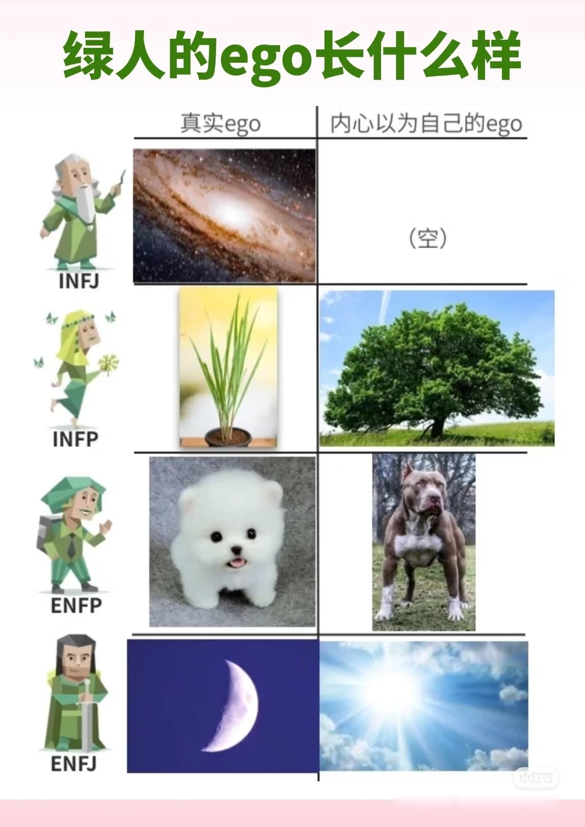 哈哈哈哈哈哈哈哈我要被intp和entp笑出腹肌但的确infj不可能是空心人，