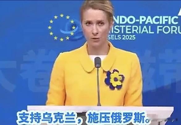 欧盟外长卡拉斯称，欧盟一直在给乌克兰出钱出力，泽连斯基得听欧盟的。卡拉斯：俄