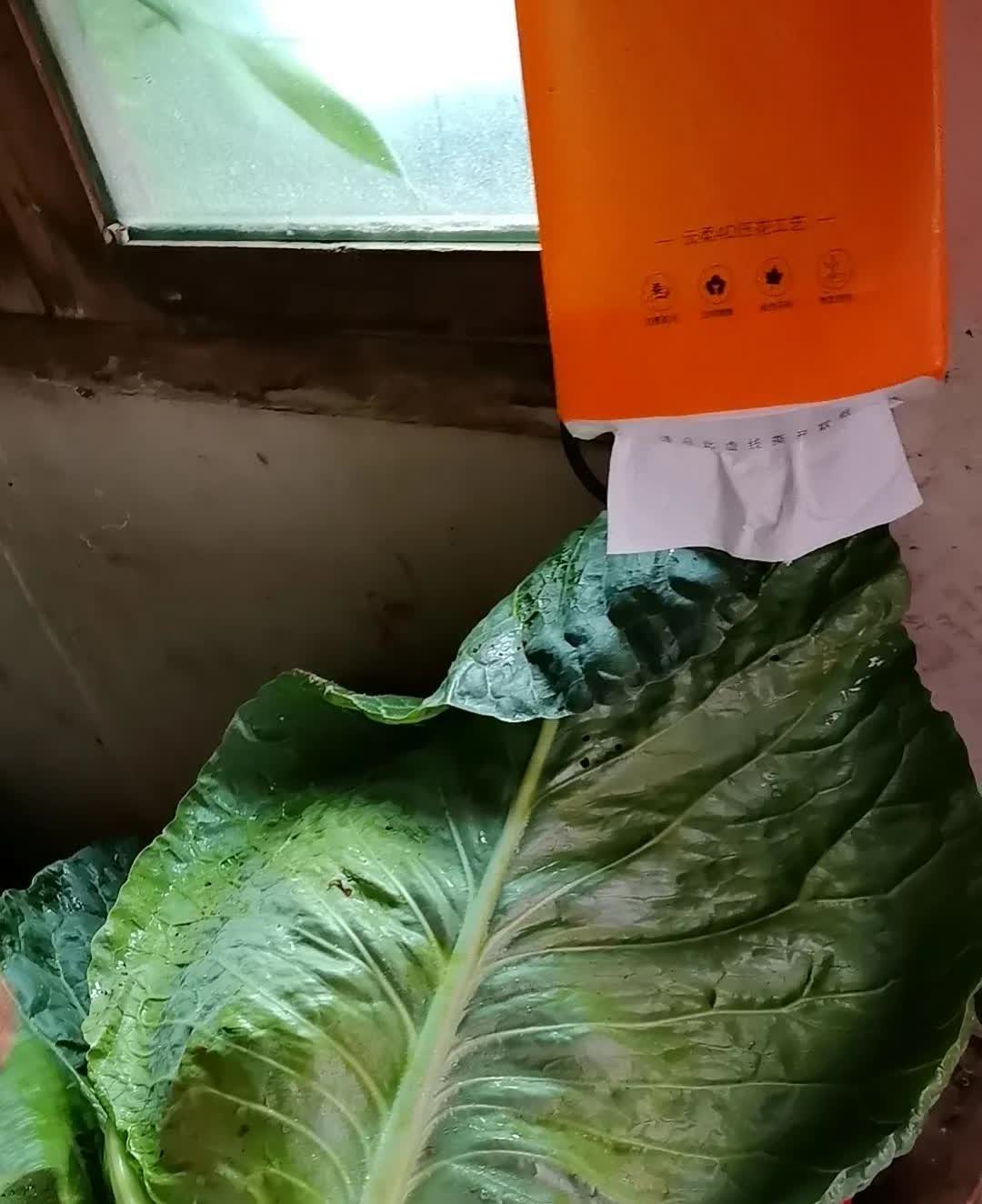 哈佛女孩的演讲视频，遭受很多国人吧嘲讽，包括很多大V都发生了，像一个坏土